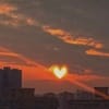বজলুর রশিদ avatar